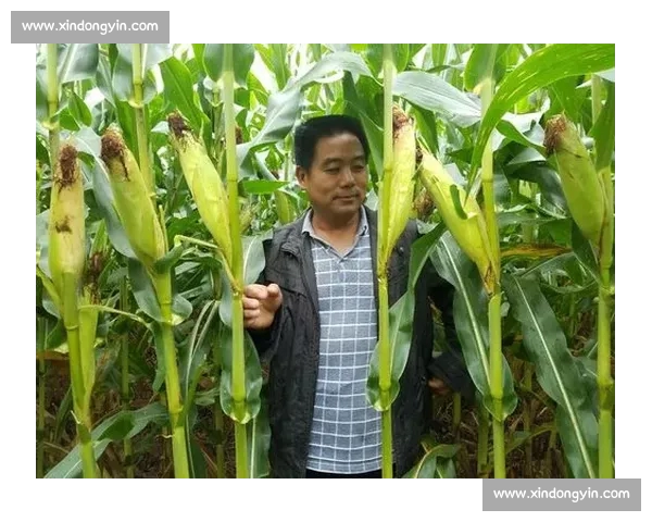 高清稳定流畅的足球直播APP下载安装到手机即看全球赛事精彩 - 副本 - 副本 (11) - 副本 - 副本 - 副本